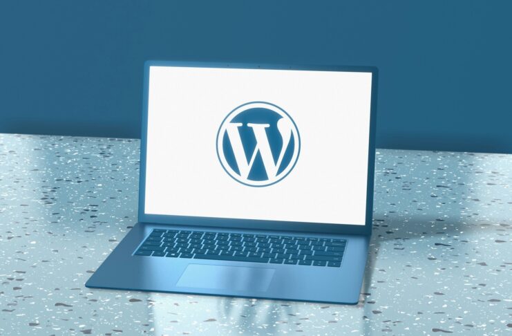WordPress vip